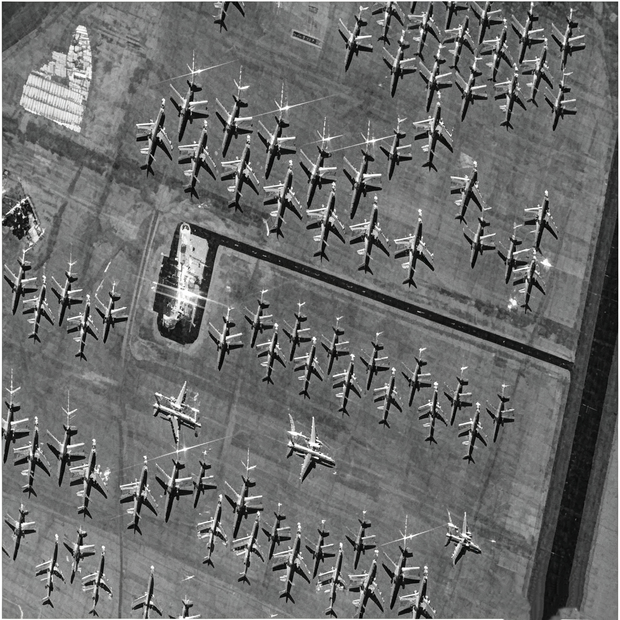 Snowy Owl Radar Satellite