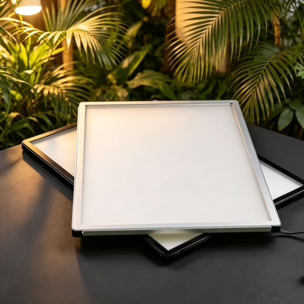 LED Desktop Menu Light Box
