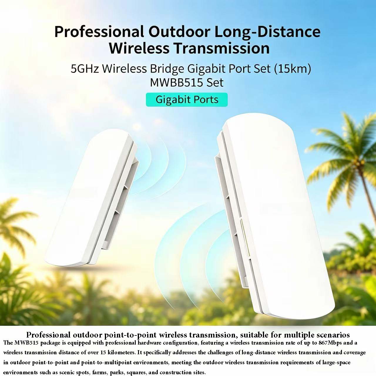 Outdoor Wireless Bridge