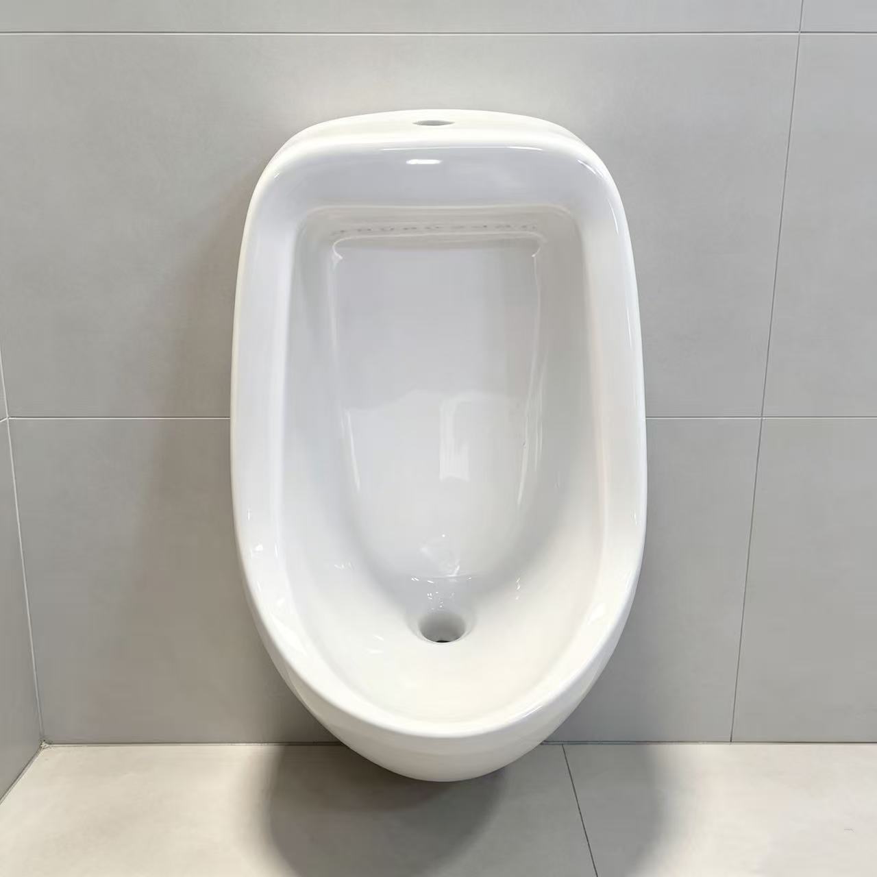 Wall-Mounted Urinal